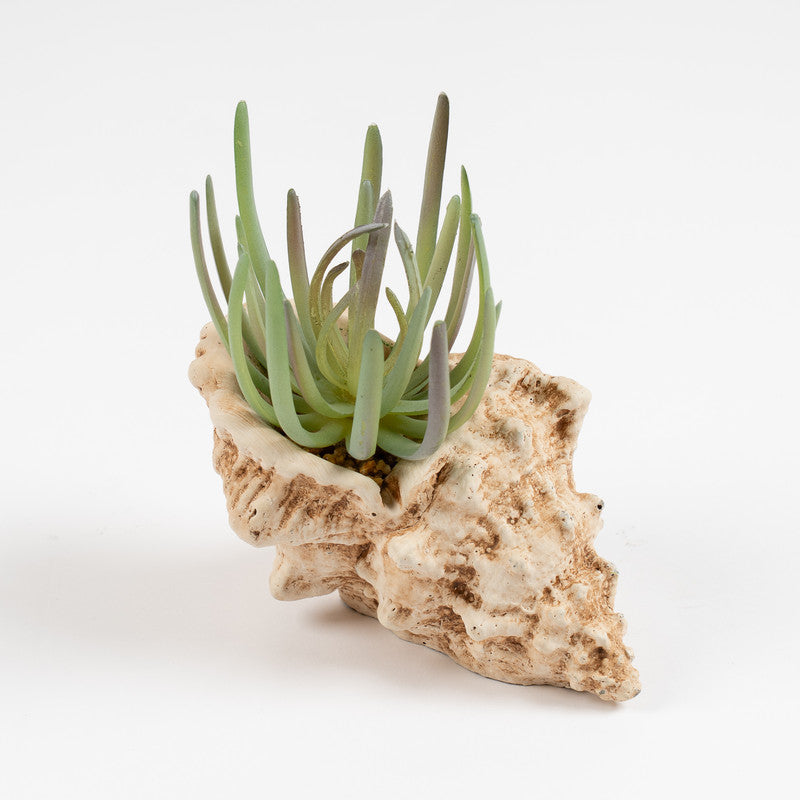 16cm Artificial Succulent Plant in Cement Shell